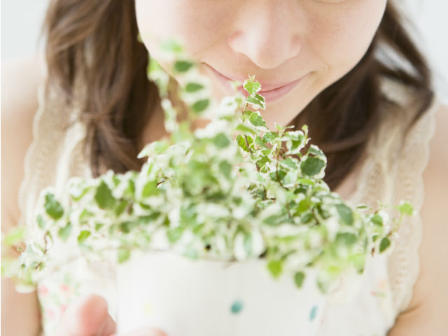 鉢植えを持つ女性